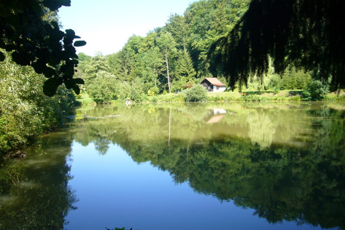 P1180003